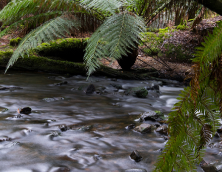 Mōrere Hot Springs: Looking back, moving forward