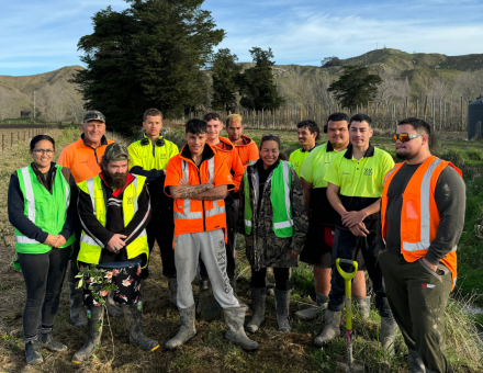 Progress in horticulture development: A bright future for Wairoa