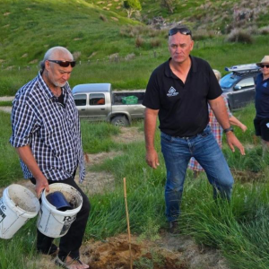 Planting complete at Paritu Station — A win for jobs, nature, and the future 