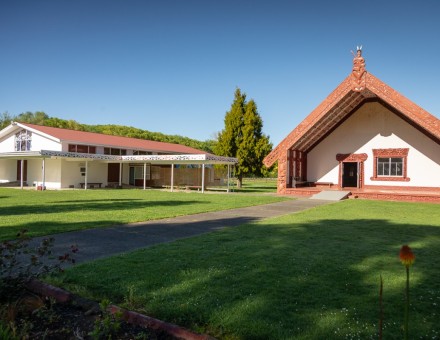 Te Hokinga Mai. Our taonga return home