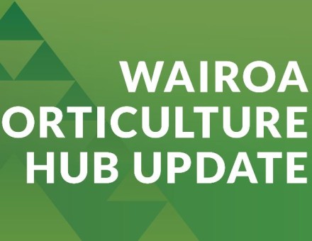 PGF investment announced for Wairoa Horticulture Hub