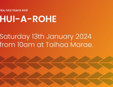 Hui-A-Rohe on the Goverments proposed changes around the Treaty Principles Bill and other kaupapa māori.